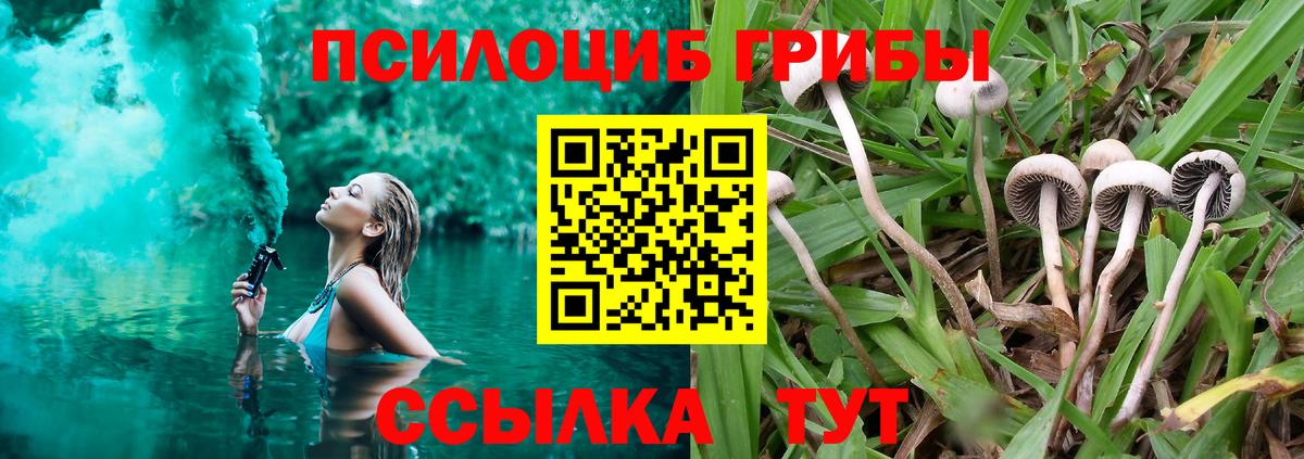 Псилоцибиновые грибы Cubensis  Псилоцибиновые грибы Magic Shrooms  Лесозаводск  Вход с VPN 